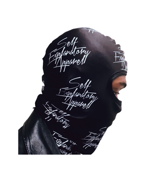 SELF EXPLANATORY DEFINITION Balaclava Ski Mask